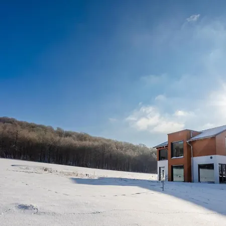 Designful Eifel Casa I Sauna, Terrace, Garage, Bbq Kerpen (Rhineland-Palatinate)